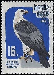 RUSSIA   #2911 USED (1)