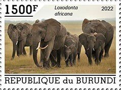 BURUNDI - 2022 - Elephants - Perf Single Stamp - Mint Never Hinged