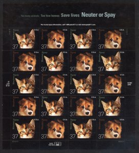 SCOTT 3670-71 2002 37 CENT NEUTER & SPAY ISSUE MNH SHEET VF CAT $20!