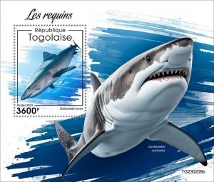 2024 04 - TOGO - SHARKS             1V  complet set    MNH **