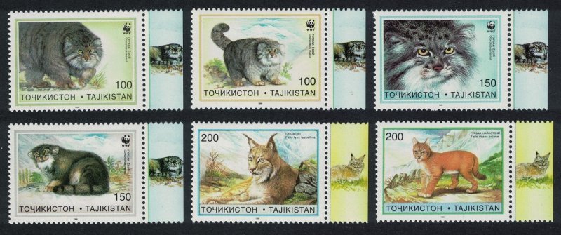 Tajikistan WWF Pallas's Cat 6v 1996 MNH SC#92-97 SG#90-95 MI#94-99