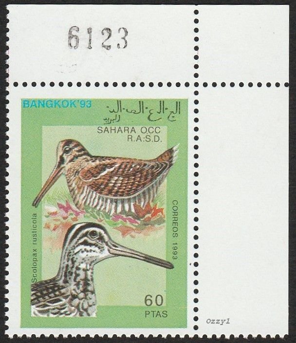 Sahara Occ RASD 1993 60ptas Eurasian Woodcock MNH.