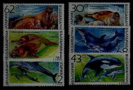 Bulgaria 3665-70 MNH Marine life/Sea animals SCV6.15