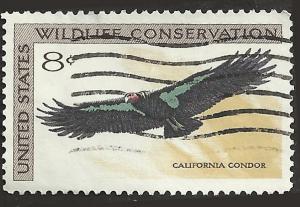 # 1430 USED CALIFORNIA CONDOR