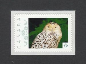 OWL = BIRD OF PREY = Picture Postage stamp MNH Canada 2014 [p6an9/1]