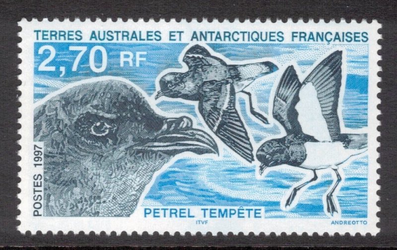 FRENCH ANTARCTIC 1997 Storm Petrel; Scott 223, Yvert 214; MNH