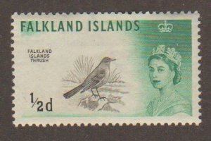 Falkland Is - 128 - Thrush bird - MH