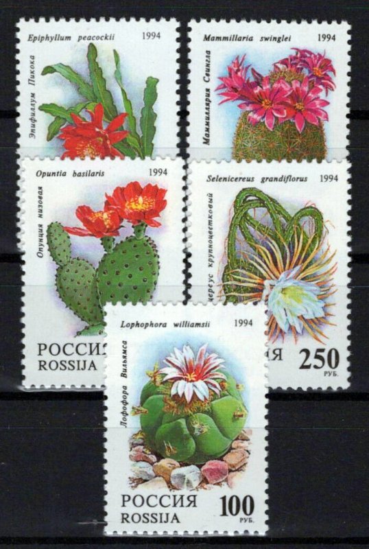 Russia & Soviet Union 6196-6200 MNH Cactus Flowers Plants ZAYIX 0624S0265