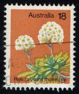 Australia #564 Helichrysum Thomsonii; Used (0.25)