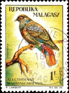 MADAGASCAR - 1963 - Mi.495 1fr Fruit Pigeon (Alectroenas madagascariensis)