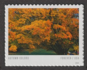 US 5938-5929 Autumn Colors F single set 10 MNH 2024