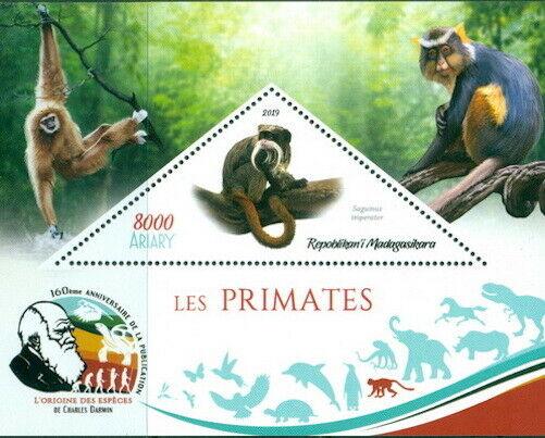 MONKEY APES PRIMATES FAUNA CHARLES DARWIN MADAGASCAR 2019 MNH STAMP SET 4 SHEETS