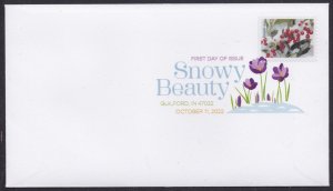 US 5731 Snowy Beauty Winterberry DCP FDC 2022