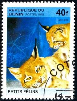 Wild Cat, Lynx Lynx, Benin stamp SC#816 Used