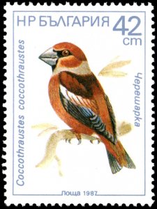 Bulgaria 3285 - Mint-H - 42s Hawfinch (1987) (cv $0.80)