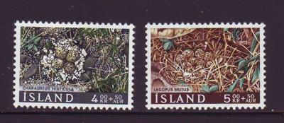 Iceland Sc B21-2 1967 Charity Bird stamps NH