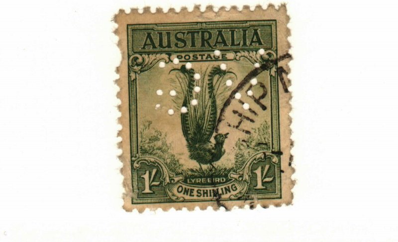 Australia #141 Official Perfin used