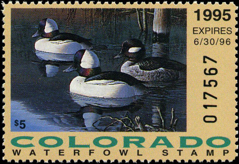 COLORADO #6 1995 STATE DUCK   BUFFLEHEADS  by Cynthie Fisher