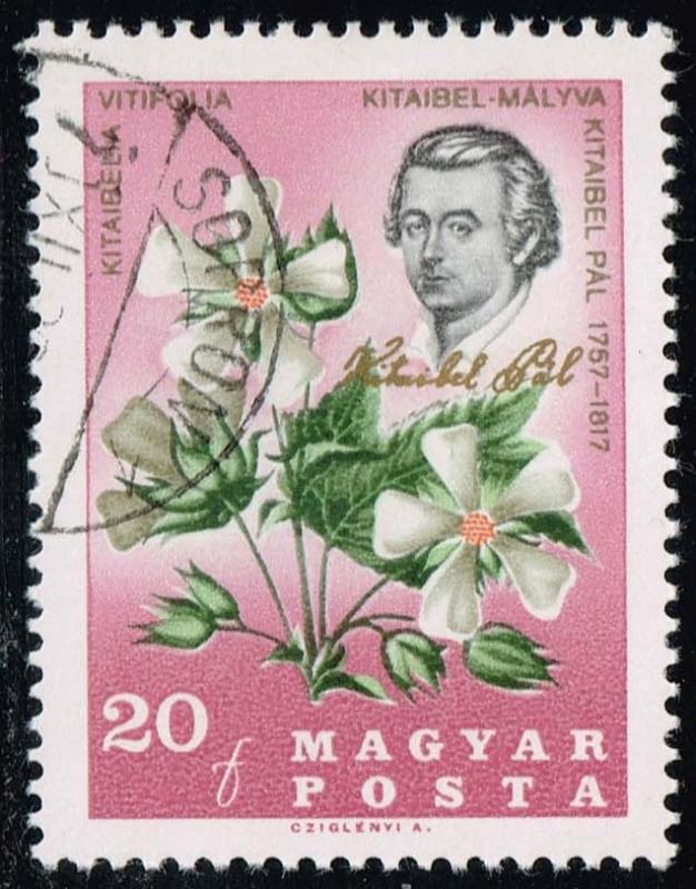 Hungary #1811 Flowers of the Carpathian Basin; CTO (0.25)