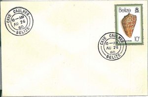 28683  - BELIZE - Postal History -  COVER from CAYE CAULKER 1980 SHELLS