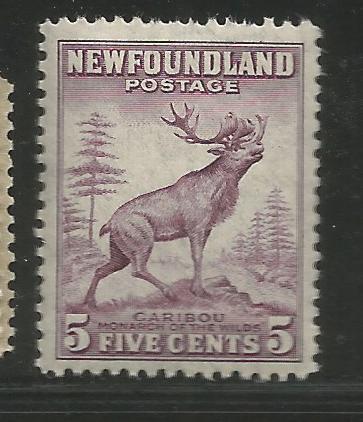 NEWFOUNDLAND 257, MNH, CARIBOU