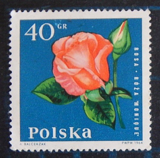 Flowers, Rose, 40 Gr, MNH, ** (2591-T)