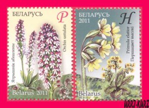 BELARUS 2011 Nature Flora Endangered Plants Flowers 2v Mi845A-846A MNH