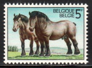 Belgium #950   MH