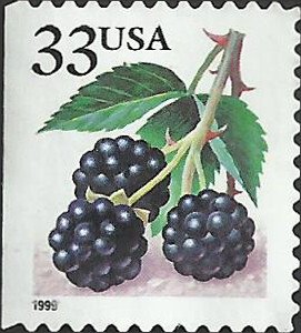 # 3297 USED BLACKBERRIES