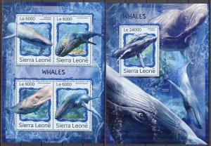 Sierra Leone 2016 Marine Life Whales Sheet + S/S MNH