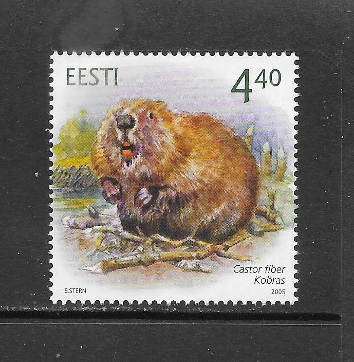 ESTONIA #503 BEAVER MNH