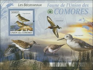 Comoro Island 2009 MI 2420/B517 Birds Waterbirds CV $15.50