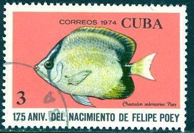 Cuba; 1974: Sc. # 1895; O/Used CTO Single Stamp