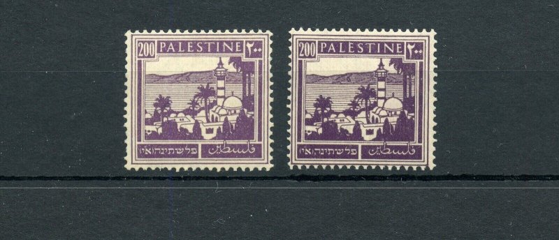 PALESTINE STANLEY GIBBONS 103a(NH) & 103b(LH) RIBBED GUM  MINT --SG 51 POUNDS 