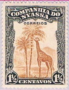 Nyassa 109 MLH Giraffe 1921 (BP37829)