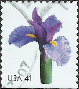 # 4178 USED IRIS