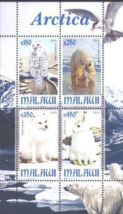 Malawi 2010 - Arctica Animal Fauna Bird Rabbit Bear Stamps