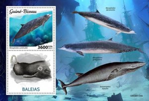 Guinea-Bissau - 2023 Hubbs' Beaked Whale - Stamp Souvenir Sheet - GB230134b