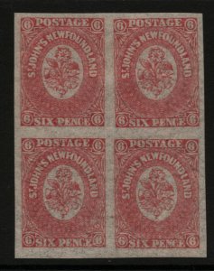 Newfoundland #20 Extra Fine Mint Block - Top Stamps Lightly Hinged Bottom NH
