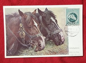 WW2 WWII German Third Reich postcard Grand Prix horse race Vienna Wien 1944