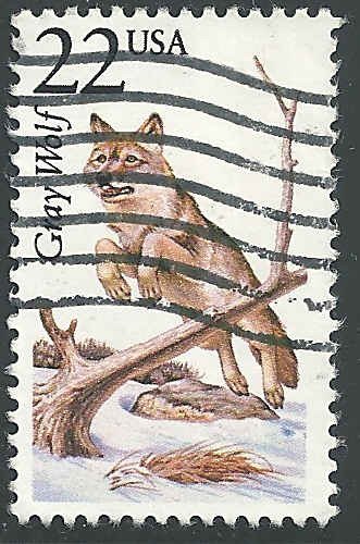 US - #2322 - Used - SCV-0.50