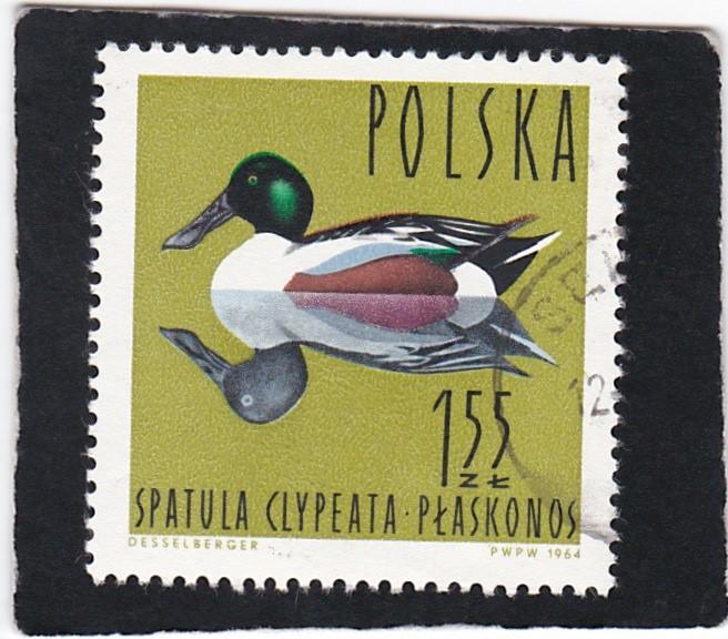 POLAND,  #   1237   used