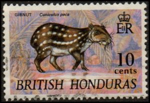 British Honduras 219 - Used - 10c Paca (1968) +