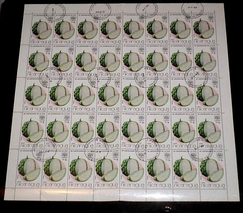 NICARAGUA,1986, FRUITS & NUTS, C$5., SHEET/40, SCARCE!, CTO,#5 NICE! LQQK!