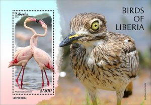 LIBERIA- 2023 - Birds of Liberia - Perf Souv Sheet - Mint Never Hinged