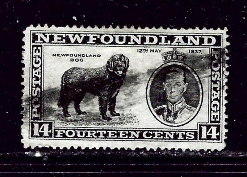 Newfoundland 238 Used 1937 issue