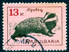 Badger, Bulgaria stamp SC#1265 used