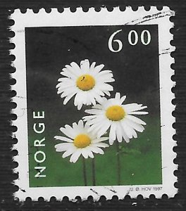 Norway #1152 6k Flowers - Oxeye Daisy