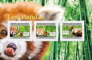 GUINEA 2011 SHEET PANDAS RED PANDA BEARS OSOS OURS URSOS WILDLIFE gu11623a