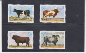 Zambia Scott # 418-421 World Food Day, Cattle. Complete set .MNH